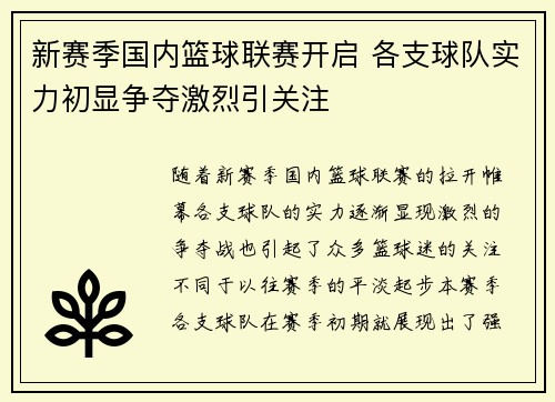 新赛季国内篮球联赛开启 各支球队实力初显争夺激烈引关注